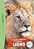 Wild Immersion 21 - Nouvell...