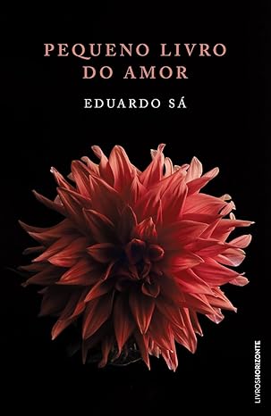Pequeno Livro do Amor (Portuguese Edition)
