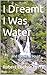 I Dreamt I Was Water: and s...