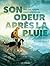 Son odeur après la pluie