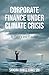 Corporate Finance Under Climate Crisis: Sustainability Transitions in Theory and Practice