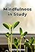 Mindfulness in Study