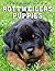 Picture Of Rottweiler Puppies by Jerry Frazier