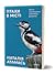 Птахи в місті. Життя та виживання в бетонних джунглях