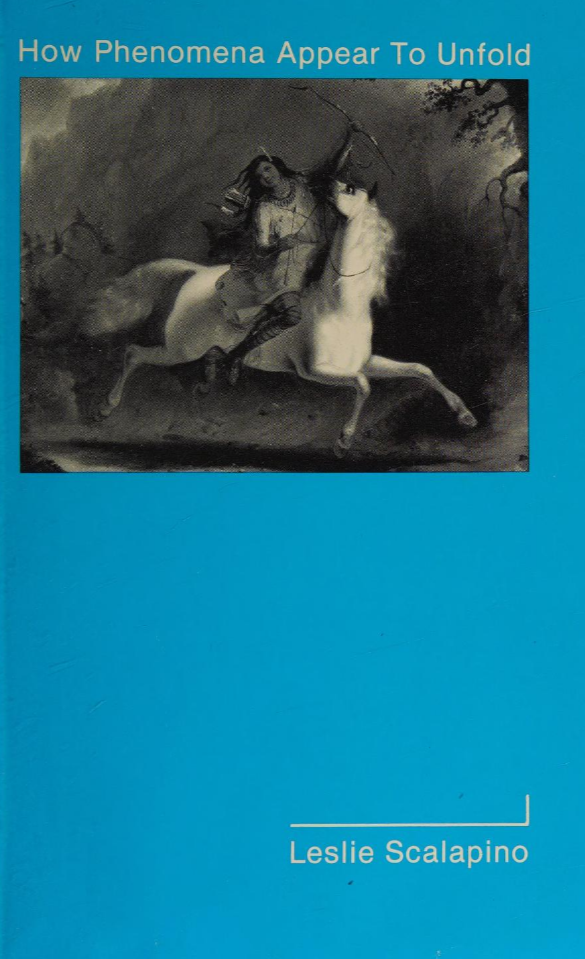 How Phenomena Appear to Unfold (Paperback)