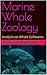Marine Whale Zoology: Analy...