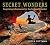 Secret Wonders: Surprising Visions for the Intrepid Adventurer