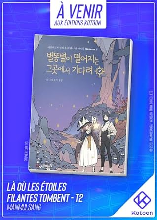 Là où les étoiles filantes tombent - Tome 2