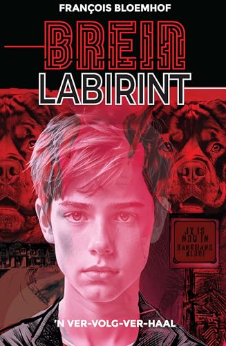 Breinlabirint (Afrikaans Edition)