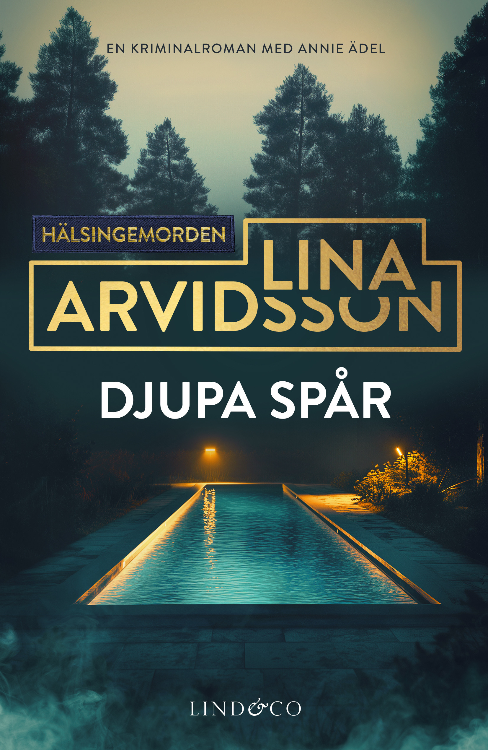 Djupa spår (Hälsingemorden, #2)