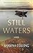 Still Waters: Contemporary ...
