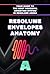 Resolume Envelopes Anatomy:...