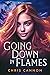 Going Down in Flames (Going Down in Flames, #1)
