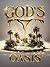 God's Oasis