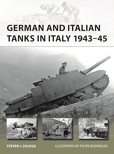 German and Italian Tanks in Italy 1943–45 (New Vanguard Book 344)