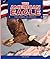 The American Eagle (America's Sights and Symbols)