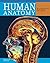 Human Anatomy by Jane De Burgh