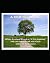 A True Beginning: 365-day devotional devoted to a true beginning