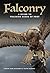 Falconry: A guide to training birds of prey