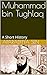 Muhammad bin Tughlaq: The E...