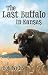 The Last Buffalo in Kansas