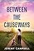 Between the Causeways by Jeremy  Campbell