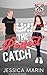 The Perfect Catch (Tennessee Terrors #3)