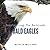 Bald Eagles