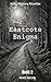 Eastcote Enigma: Prequel Bo...