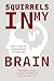 Squirrels in My Brain: How ...