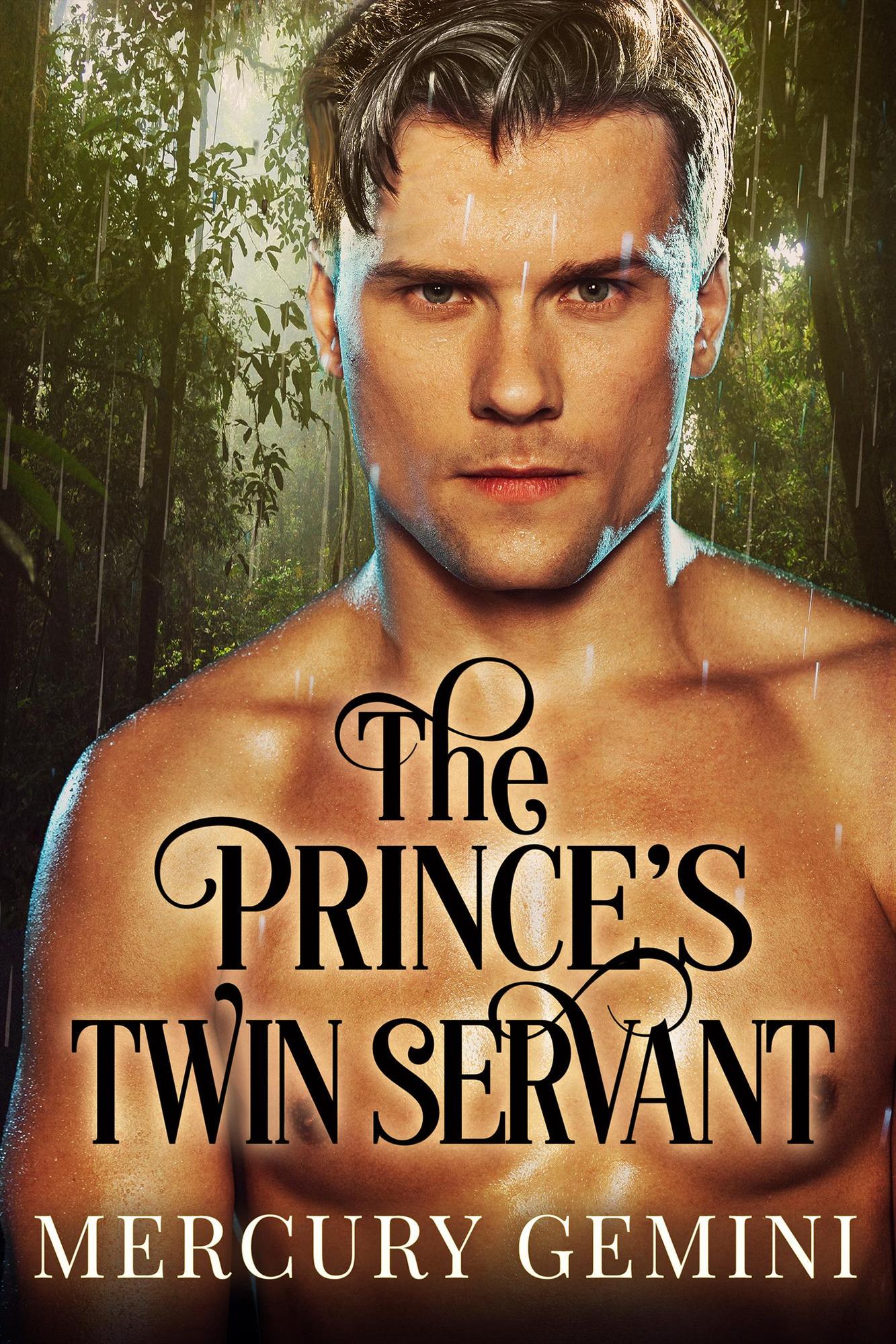 The Prince's Twin Servant