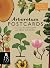 Arboretum Postcard Box Set by Tony Kirkham