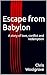 Escape from Babylon by Chris Woolgrove