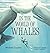 In the World of Whales by Michelle Cusolito