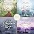 The Graham Saga, Books 7-9:...