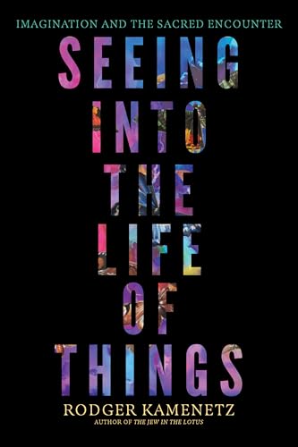 Seeing into the Life of Things: Imagination and the Sacred Encounter (Paperback)