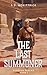 The Last Summoner by S.D. McKittrick