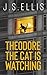 Theodore by J.S. Ellis