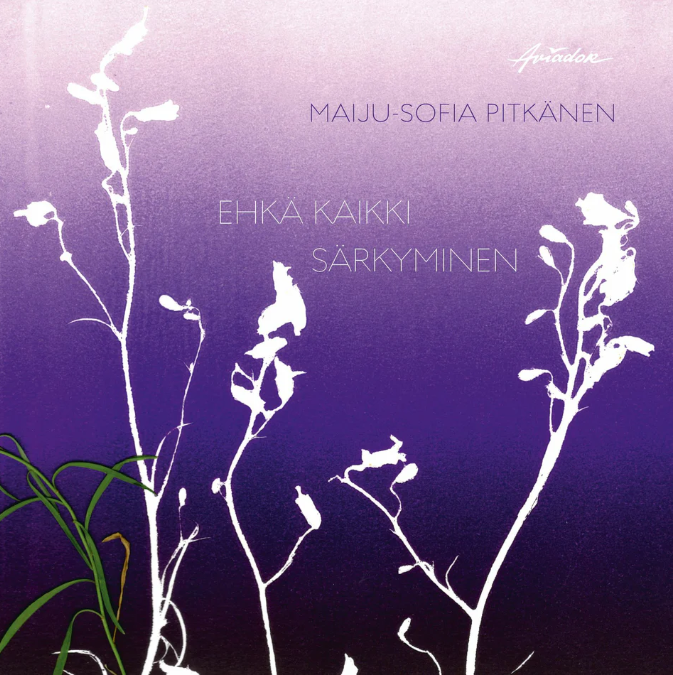 Ehkä kaikki särkyminen (Hardcover)