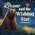 Bruno and the Wishing Star by Rehan Ahmad