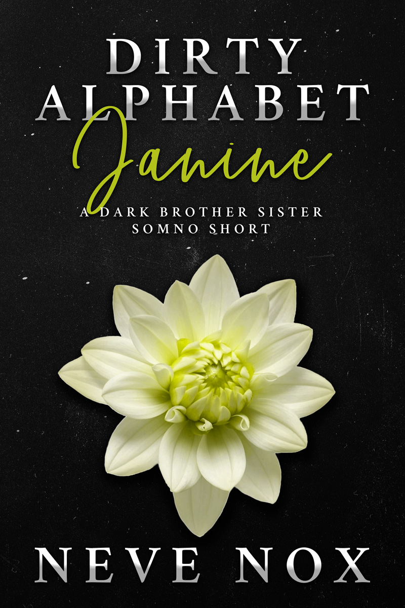 Dirty Alphabet - Janine (ebook)