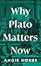 Why Plato Matters Now (Interfaces)