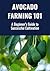Avocado Farming 101: A Begi...