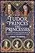 Tudor Princes and Princesses: The Early Lives of the Children of Henry VII and Elizabeth of York