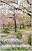 Thoughtful Devotions: Genesis