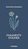 Fragments d'Olivier