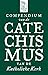 Compendium van de Catechismus van de Katholieke Kerk by Pope Benedict XVI