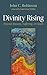 Divinity Rising: Beyond Ill...