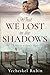 What We Lost in the Shadows by Yecheskel Rubin