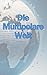 Die Multipolare Welt: Wie BRICS, BRI, SCO & Co die Welt umgestalten (German Edition)